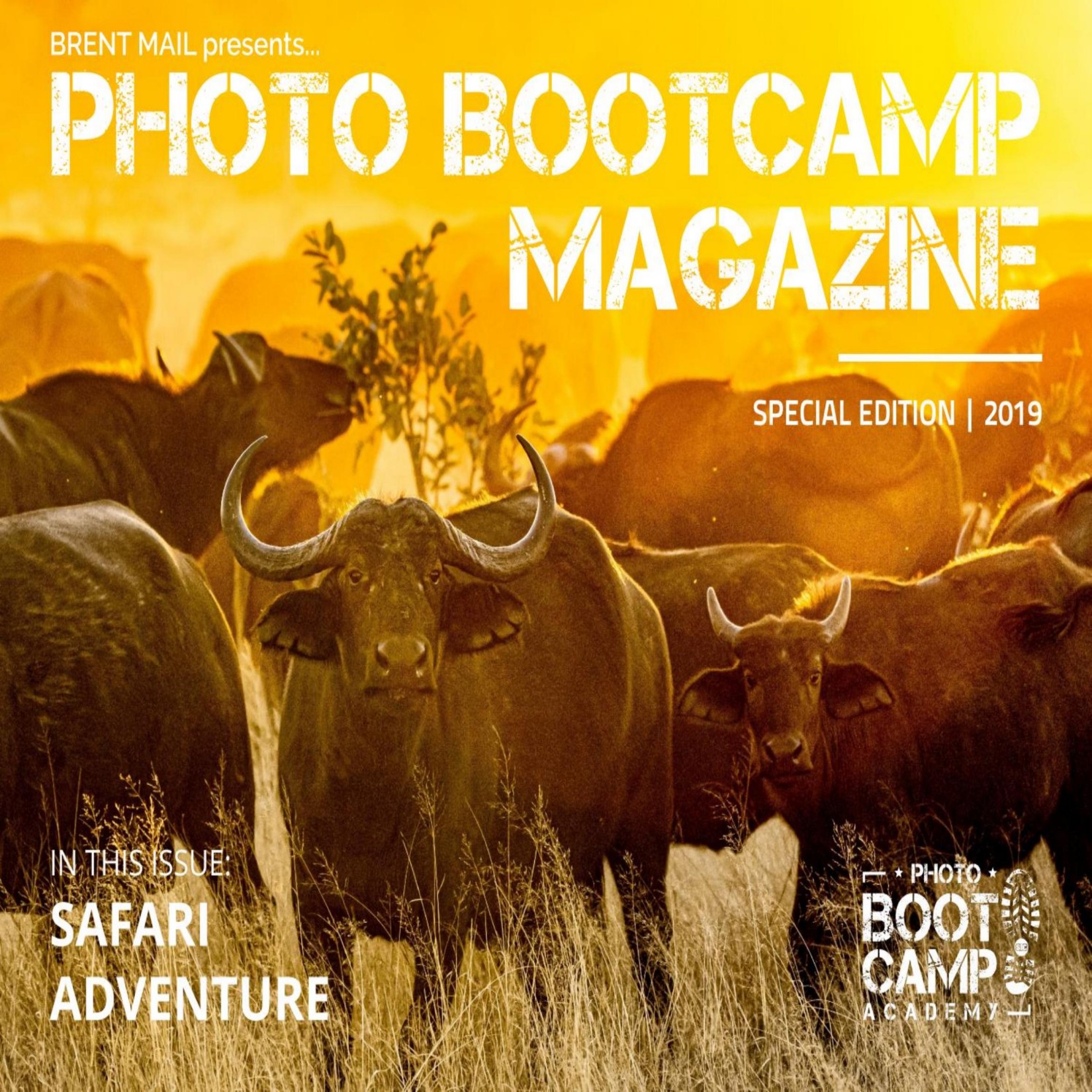 Photo BootCamp – Special Edition 2019