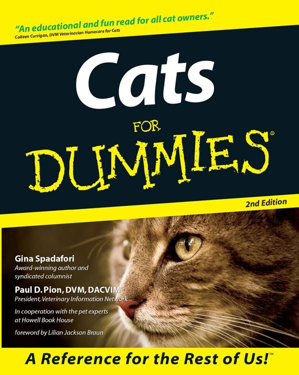 Cats for Dummies