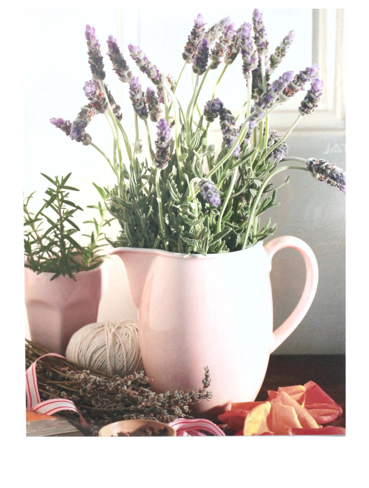 The Complete Illustrated Book of Herbs