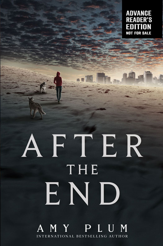 Plum, Amy - After the End