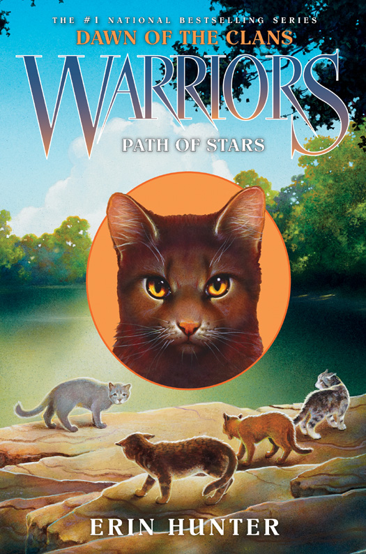Hunter, Erin - Warriors: Dawn of the Clans 06 - Path of Stars