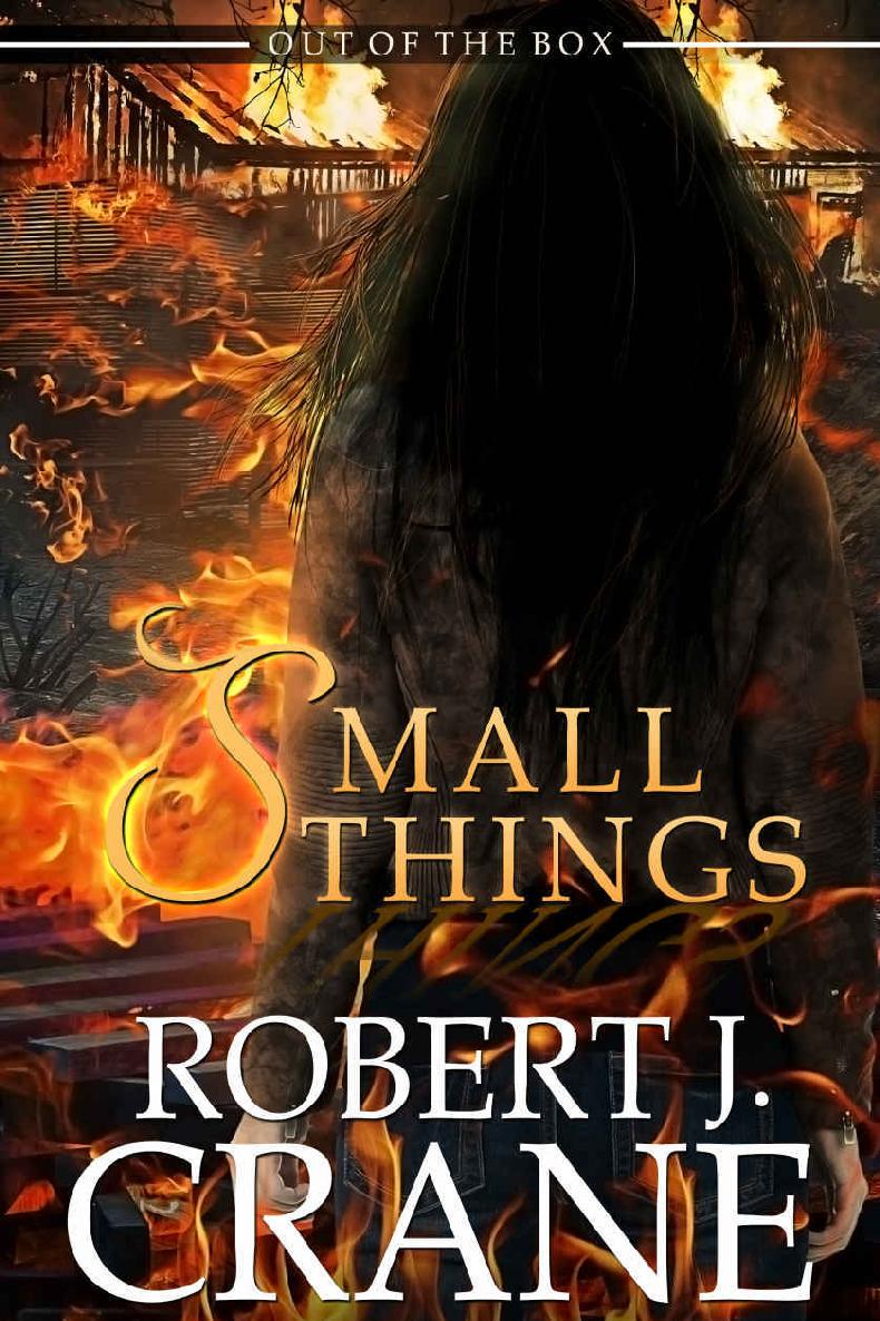Crane, Robert J - Out Of The Box 14 - Small Things