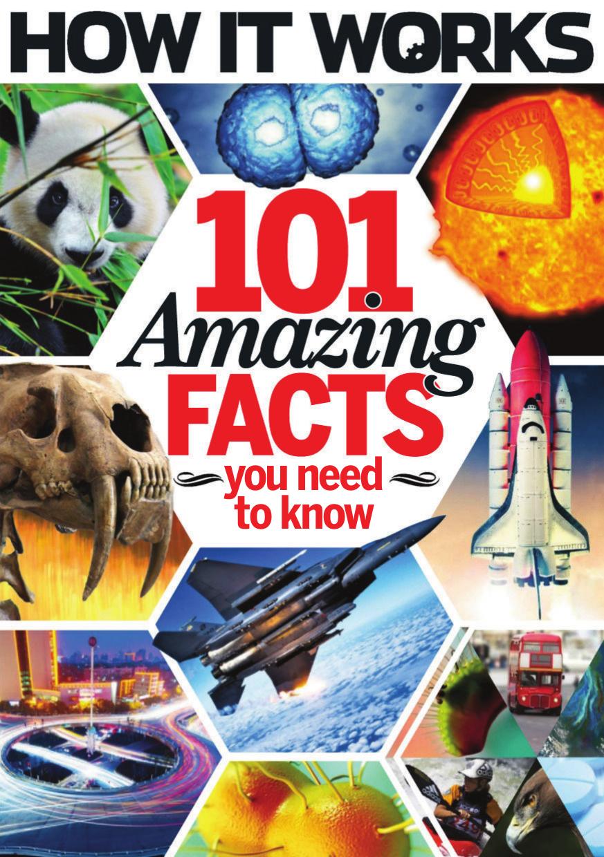 101 Amazing Facts You Need to Know, Volume 1