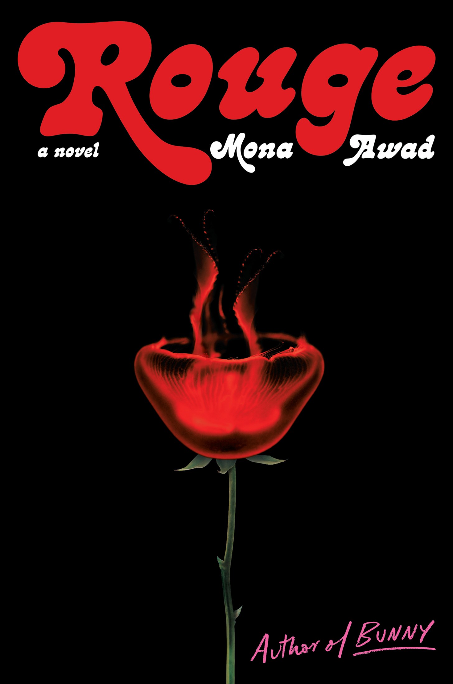Rouge: A Novel